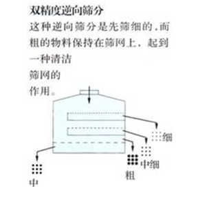 图片31